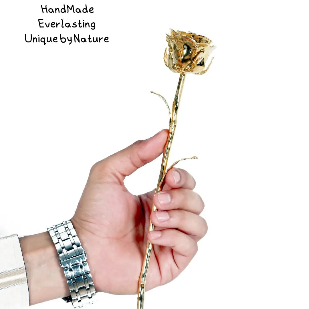 GOLD ROSE - Image 11